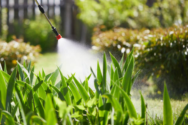 Tamper-Resistant Bait Stations for Rodents in Hampton Manor